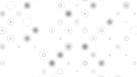esferas borrosas grises abstractas y marcos de círculos negros que parpadean sobre un fondo blanco, monocromático. animación. rastros de gotas de lluvia y formas oscuras redondas en movimiento caótico, bucle sin costuras