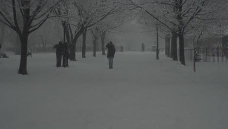 Maria Hernandez Park Bushwick Brooklyn Snow winter 2021. Vintage lens