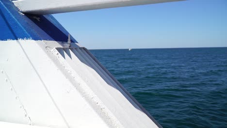 vista al mar desde ovejas en movimiento