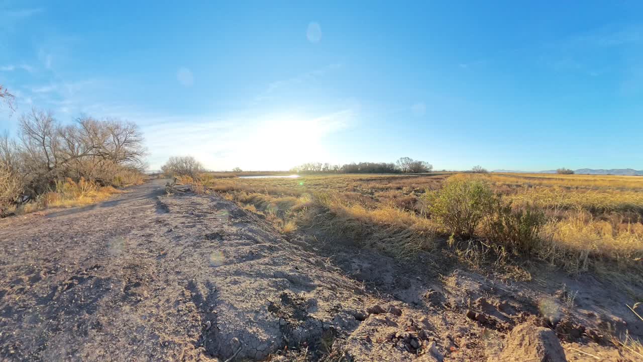 Bird hyper lapse in Arizona Grasslands