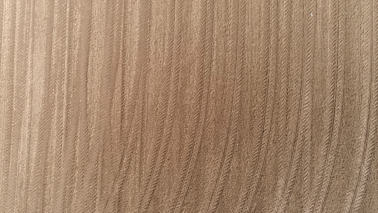 tierra seca campo agrícola tierra seca