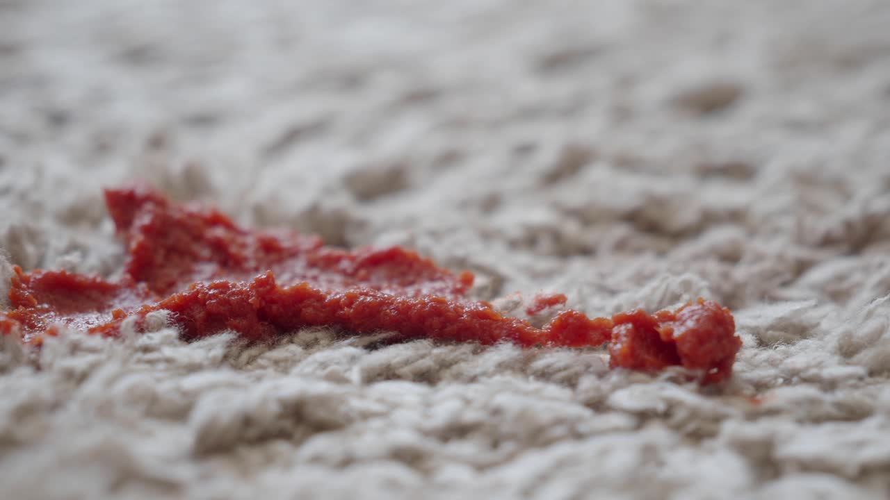 salsa de tomate derramada en la alfombra