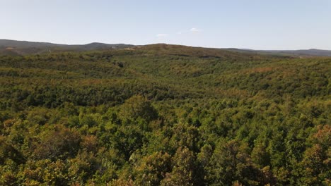 Drohne-Fliegt-über-Wald