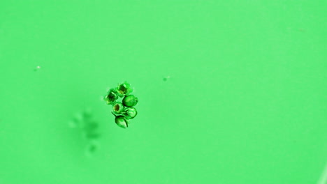 little flowers in water on green background close up. freshness.