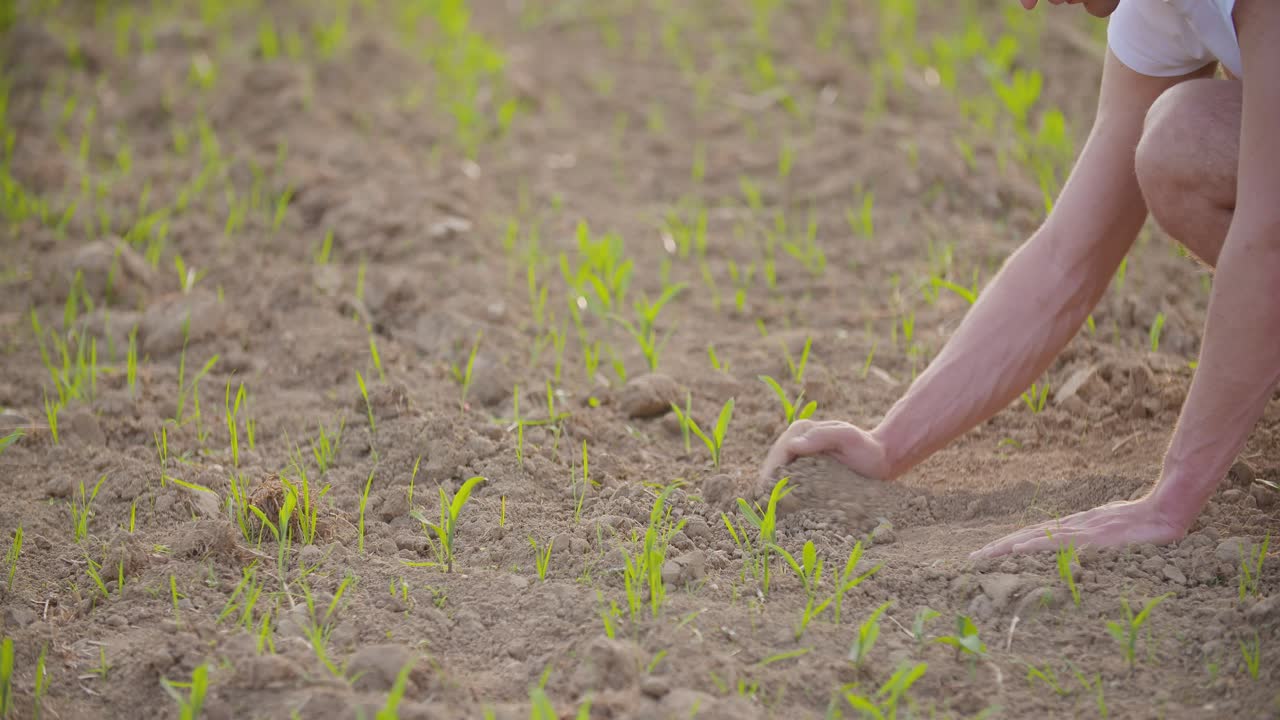 마른 땅을 조사하는 농부