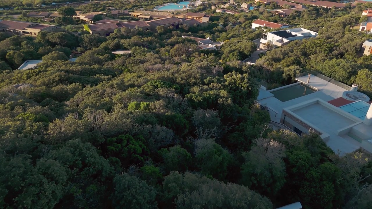Veduta aerea di un paesaggio verde lussureggiante con ville immerse tra alberi fitti al tramonto