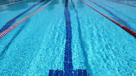 olympic swimming pool background on a bright sunny day