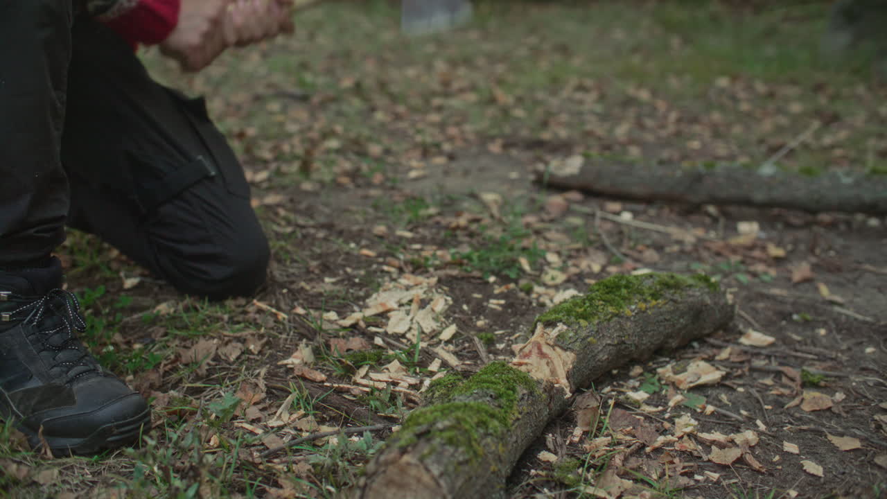 Man Splitting apart Mossy Log with Axe during Survival Trip in Wilderness
