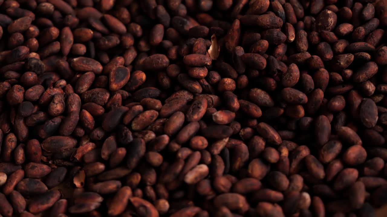 Slow motion close up of cacao seeds in rich red clay bowl, pan down across textured food