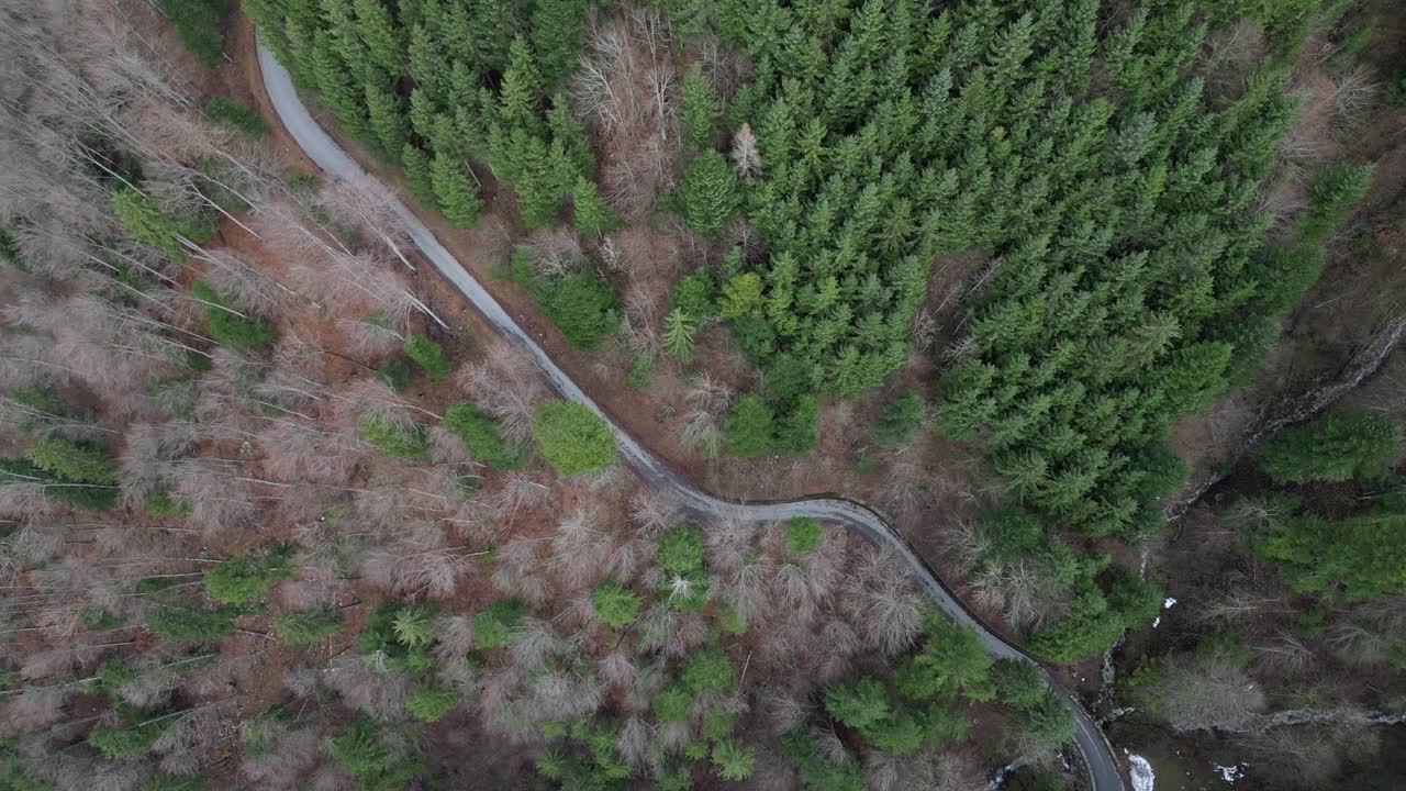 Fronalpstock, Glarus, Schweiz, snoet vej set ovenfra i skov