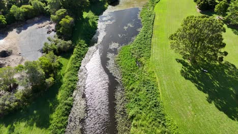 lush greenery and winding waterway in gardens