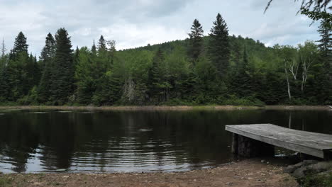 kid emerging from underwater in a lake in a forest