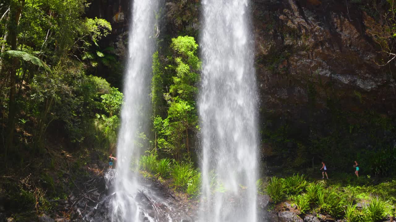 parque nacional springbrook, circuito de caída doble en medio del bosque