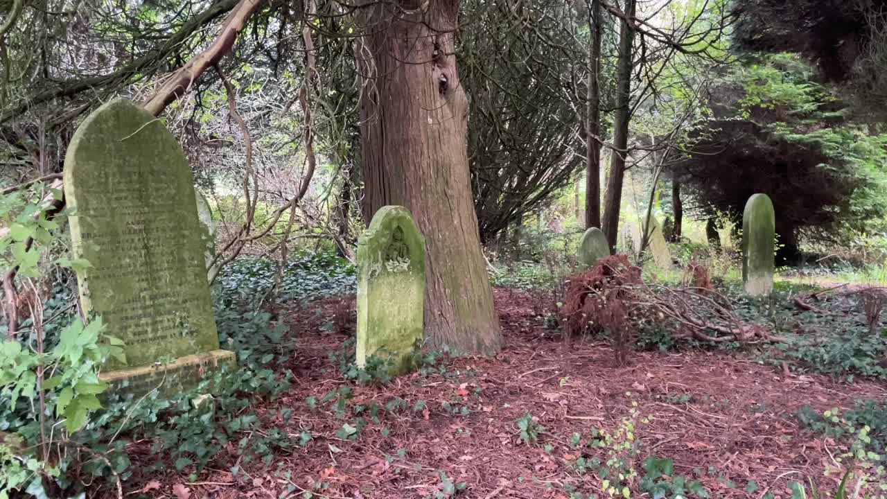 An old cemetery in Southampton with weathered tombstones surrounded by trees and foliage.