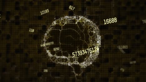 animation of numbers changing with human brain spinning
