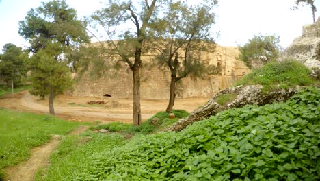 trees and grass grown  in the deep moat of the ancient fortress of famagusta with high walls