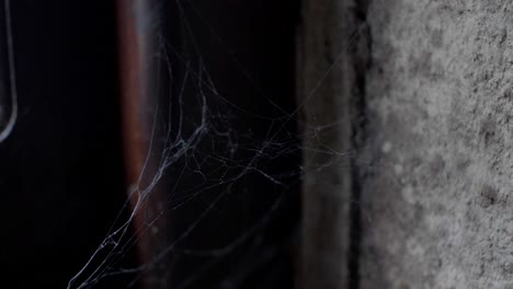 locked off view of cobweb billowing indoors