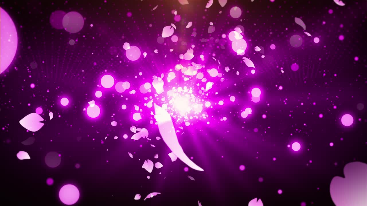 사쿠라 체리 꽃 입자 애니메이션