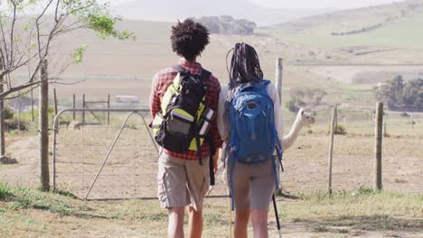 Feliz-Pareja-Afroamericana-Con-Mochilas,-Caminatas-Con-Bastones-De-Trekking-Juntos,-Cámara-Lenta