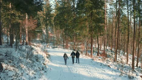 dron aéreo de 4k uhd volando bajo a lo largo de un camino de nieve siguiendo a un grupo de tres turistas en un tour de senderismo en un bosque nevado con árboles en los alpes bávaros en invierno en alemania, cerca de austria