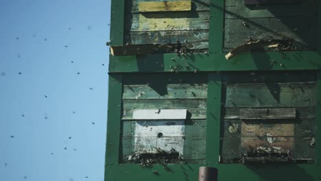 some bees flying towards and outwards from the beehive entrance on other perspective view