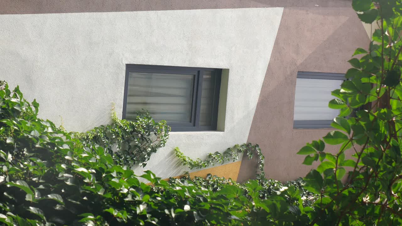Edificio con finestre e edera