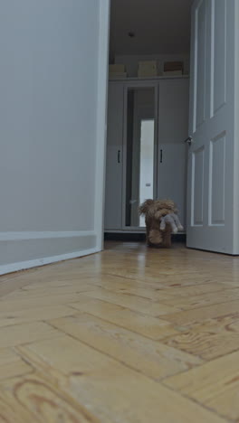 adorable perro caniche de juguete en el interior relajándose en vertical