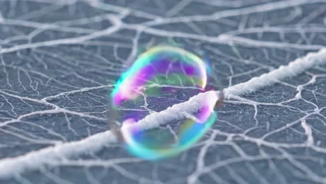 colorful soap bubble on frozen leaf veins