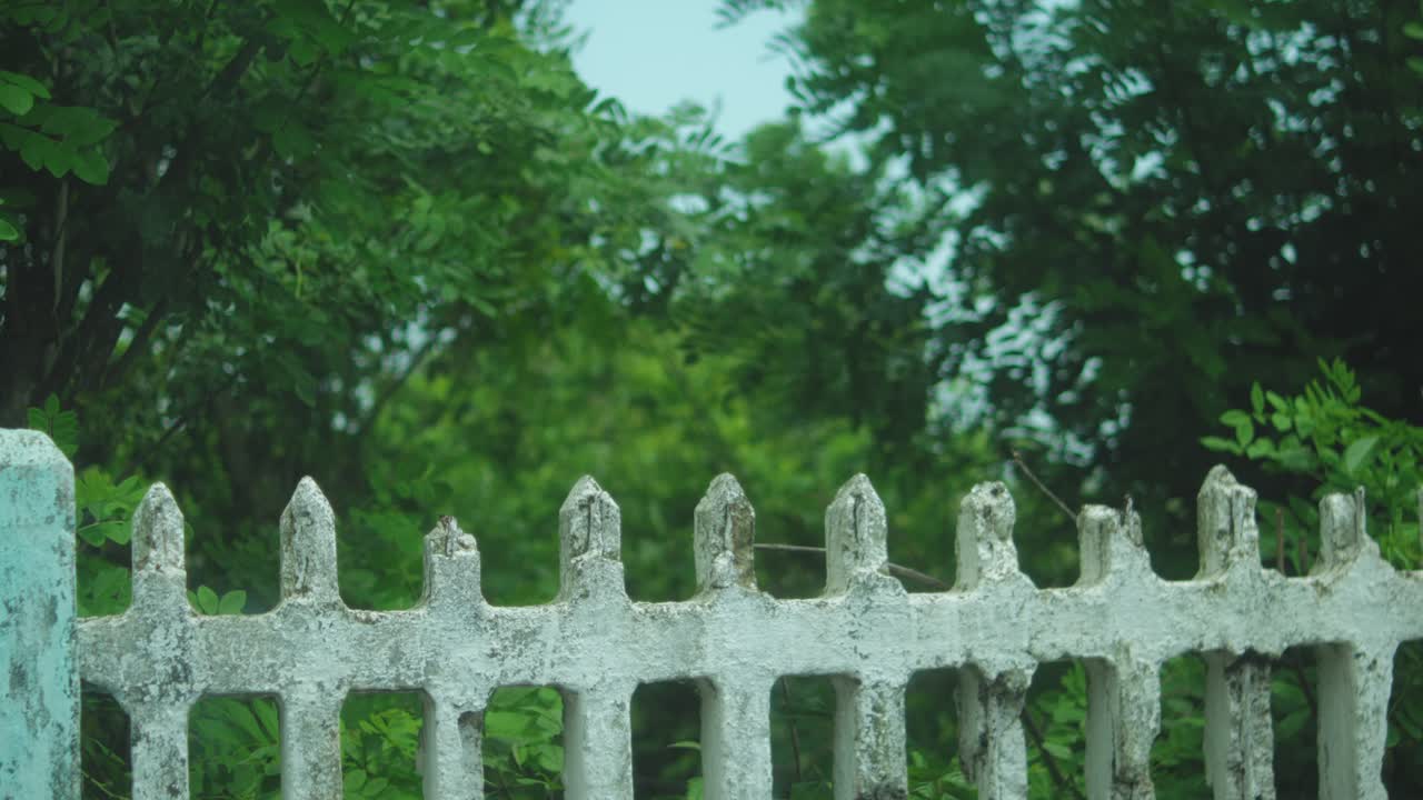 An old fence stands quietly as tree leaves sway gently in the wind. Ideal for nature, mood, or rural lifestyle visuals that evoke nostalgia, stillness, and natural charm