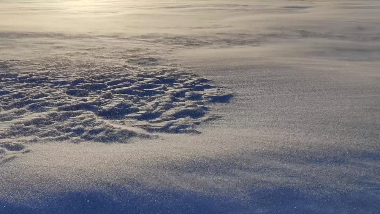 Windswept Snowdrifts in a Winter Wonderland