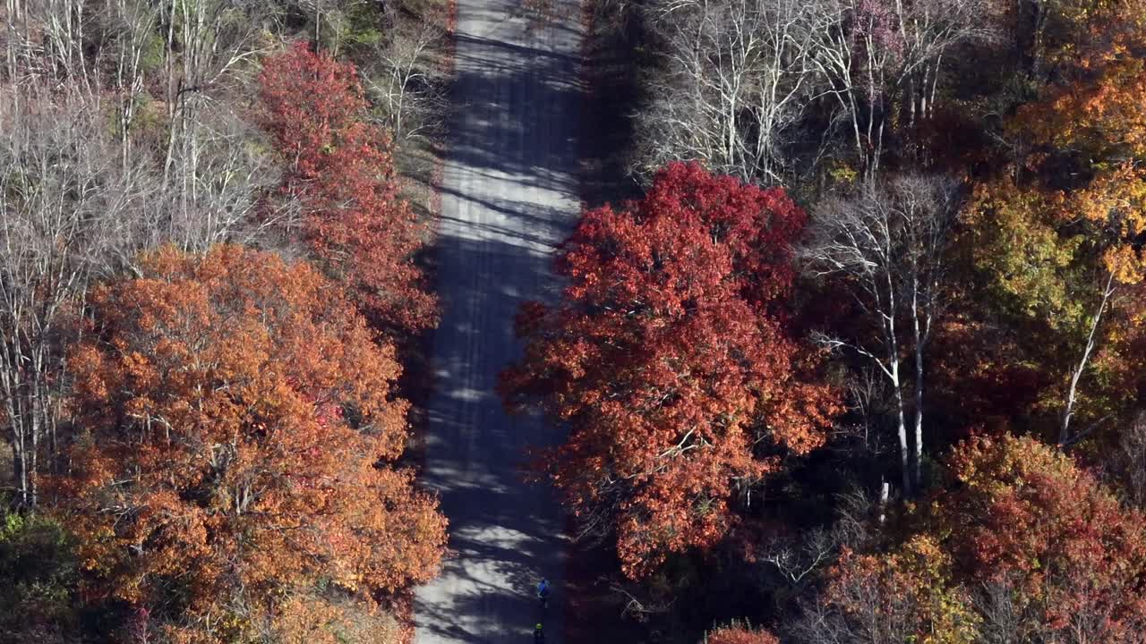 una vista aérea sobre una tranquila carretera de campo con árboles de colores a ambos lados en un día soleado en otoño