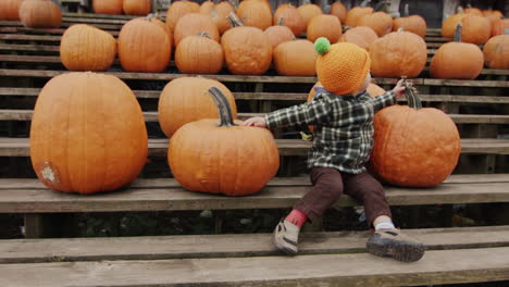 A-cheerful-kid-sits-on-a-bench-among-rows-of-pumpkins.-Autumn-fair-in-honor-of-Halloween