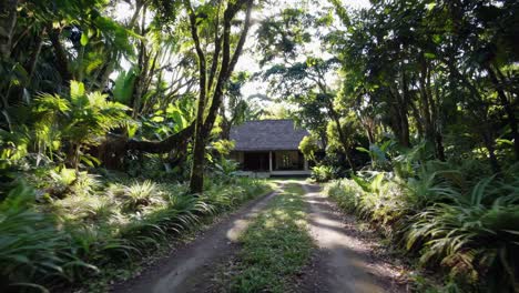 lush tropical vegetation envelops a tranquil path winding towards a charming bungalow, offering a serene and inviting oasis in the heart of a vibrant jungle retreat