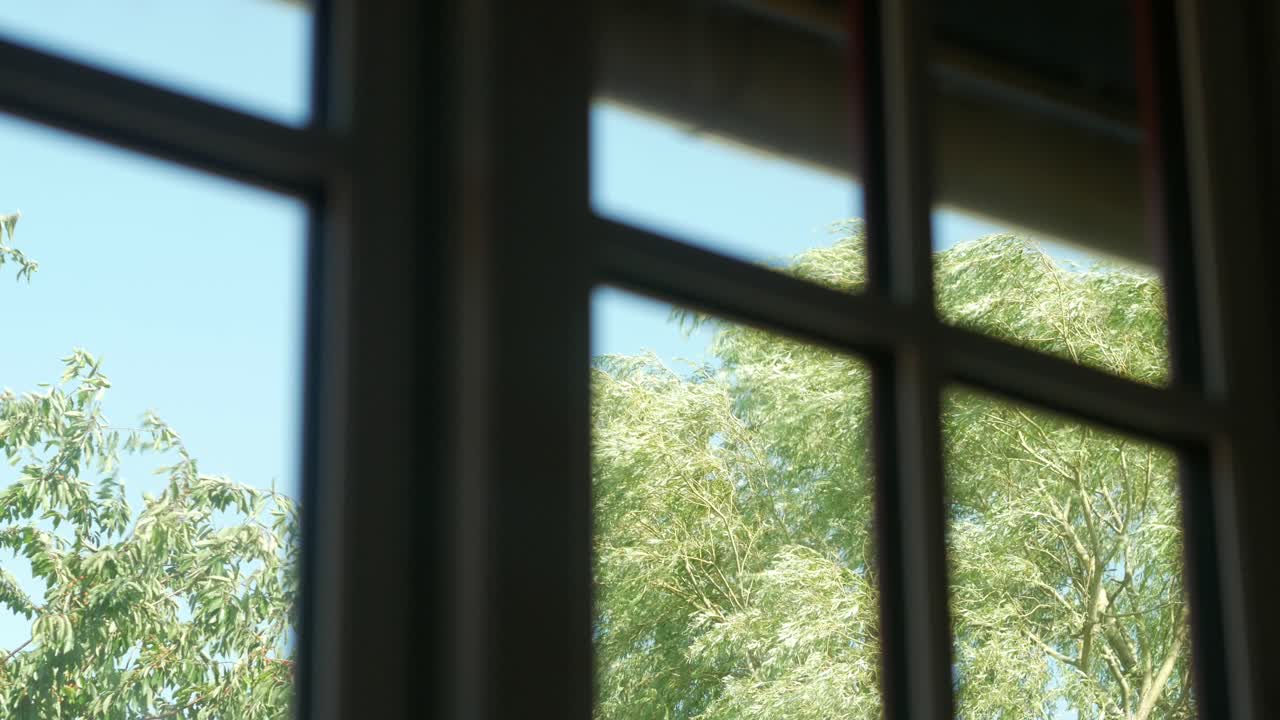 강한 바람에 흔들리는 나무에 대한 창문의 전망