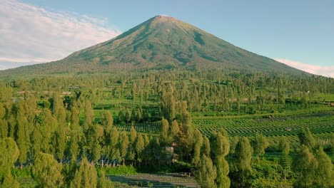 mount-sindoro-with-rural-view-countryside