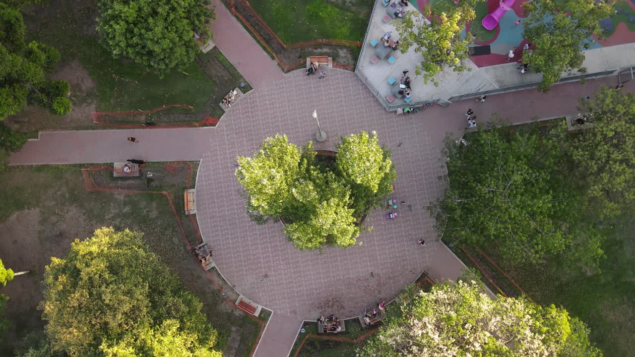 tomada de órbita de personas caminando por caminos en el árbol central en el parque de la ciudad al atardecer, buenos aires