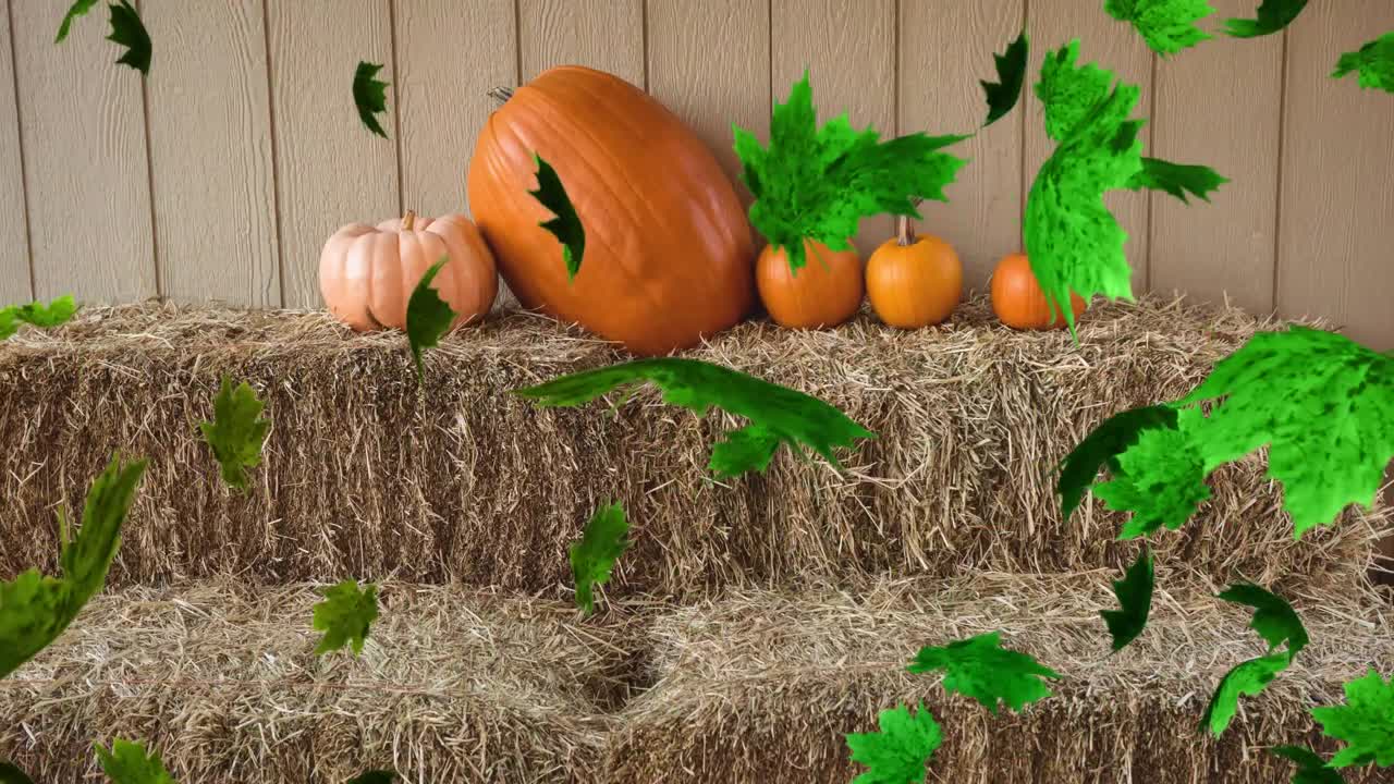animación de las hojas de otoño que caen sobre el campo de calabazas