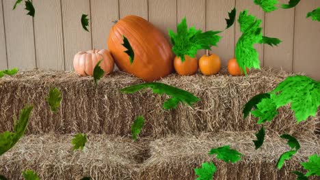 Animation-of-autumn-leaves-falling-over-pumpkin-patch