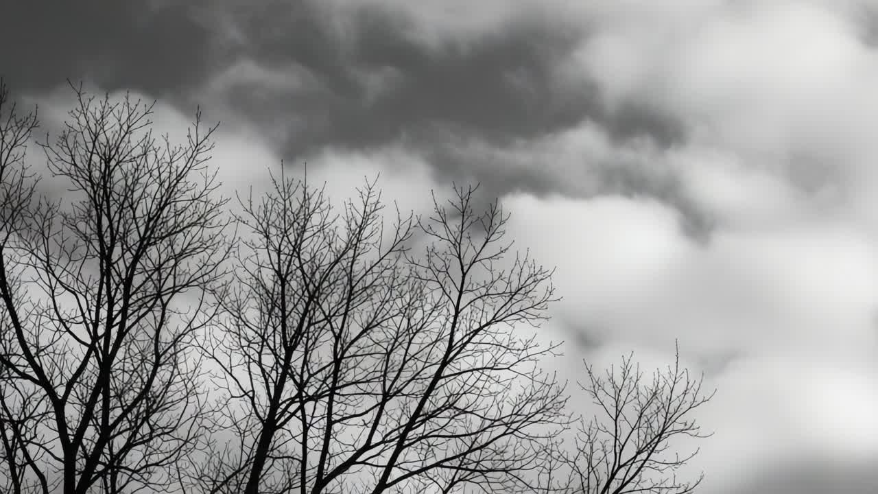 Silhouetted Trees Against a Dramatic Cloudy Sky: A Captivating Contrast of Nature's Palette and Texture Highlighting the Beauty of a Gloomy Atmosphere
