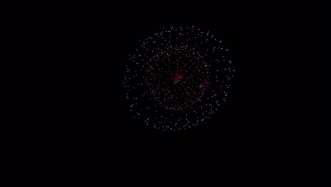 realistic colorful firework isolate on black background for use as overlay.