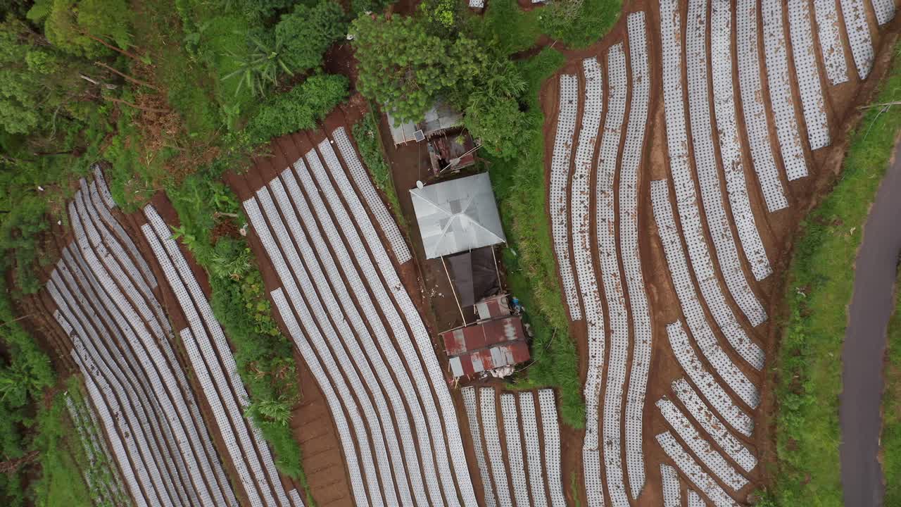 아시아의 시골 산에 있는 채소 농장 농장의 추상적 라인, 위에서 아래로