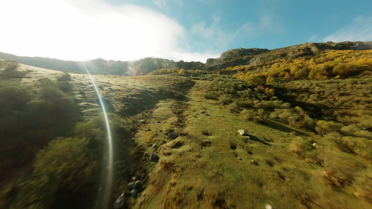 Drone FPV sobre floresta de faias no outono em Bosque del Gumial