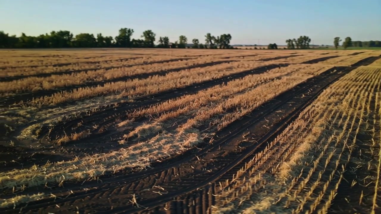 Gliding drone camera revealing curving tire tracks over harvested field, surveying stubble rows
