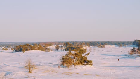 Paisaje-De-Invierno-Cubierto-De-Nieve-Durante-La-Puesta-De-Sol-En-Cámara-Lenta