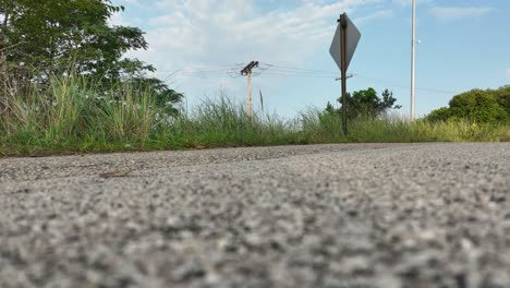 Beach-grass-blowing-in-the-breeze-from-a-low-angle