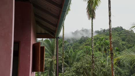 Una-Cabaña-De-Montaña-Brumosa-Ubicada-En-El-Corazón-De-Un-Exuberante-Paraíso-De-Selva-Tropical