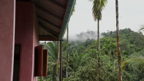 a misty mountain cabin nestled in the heart of a lush tropical rainforest paradise