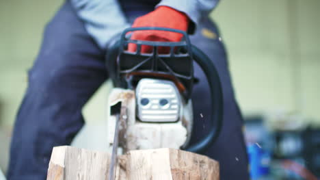 Young-Man-Cutting-Wood-