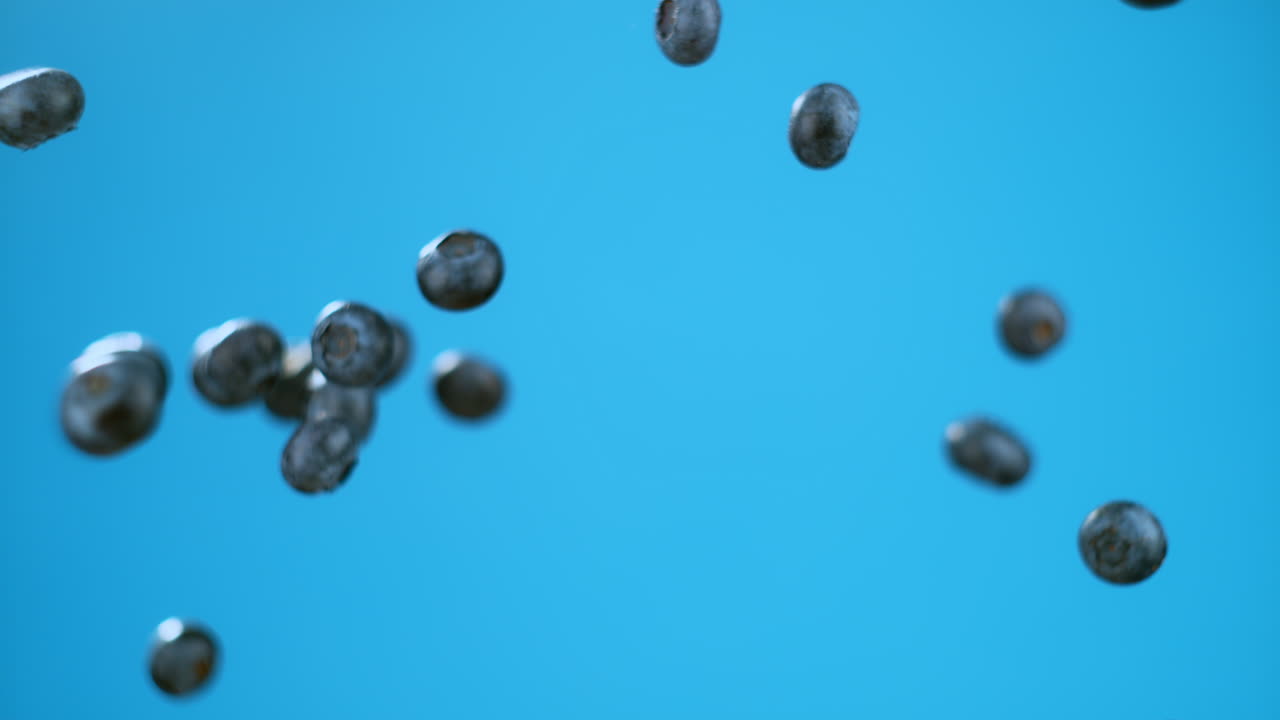 블루베리의 폭발