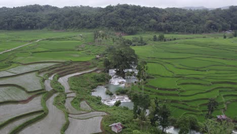 Rice-Fields-And-Waikelo-Sawah-Waterfall-On-A-cloudy-morning-at-Sumba,-aerial